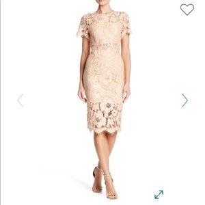 NSR Lace Short Sleeve Sheath Midi Dress
